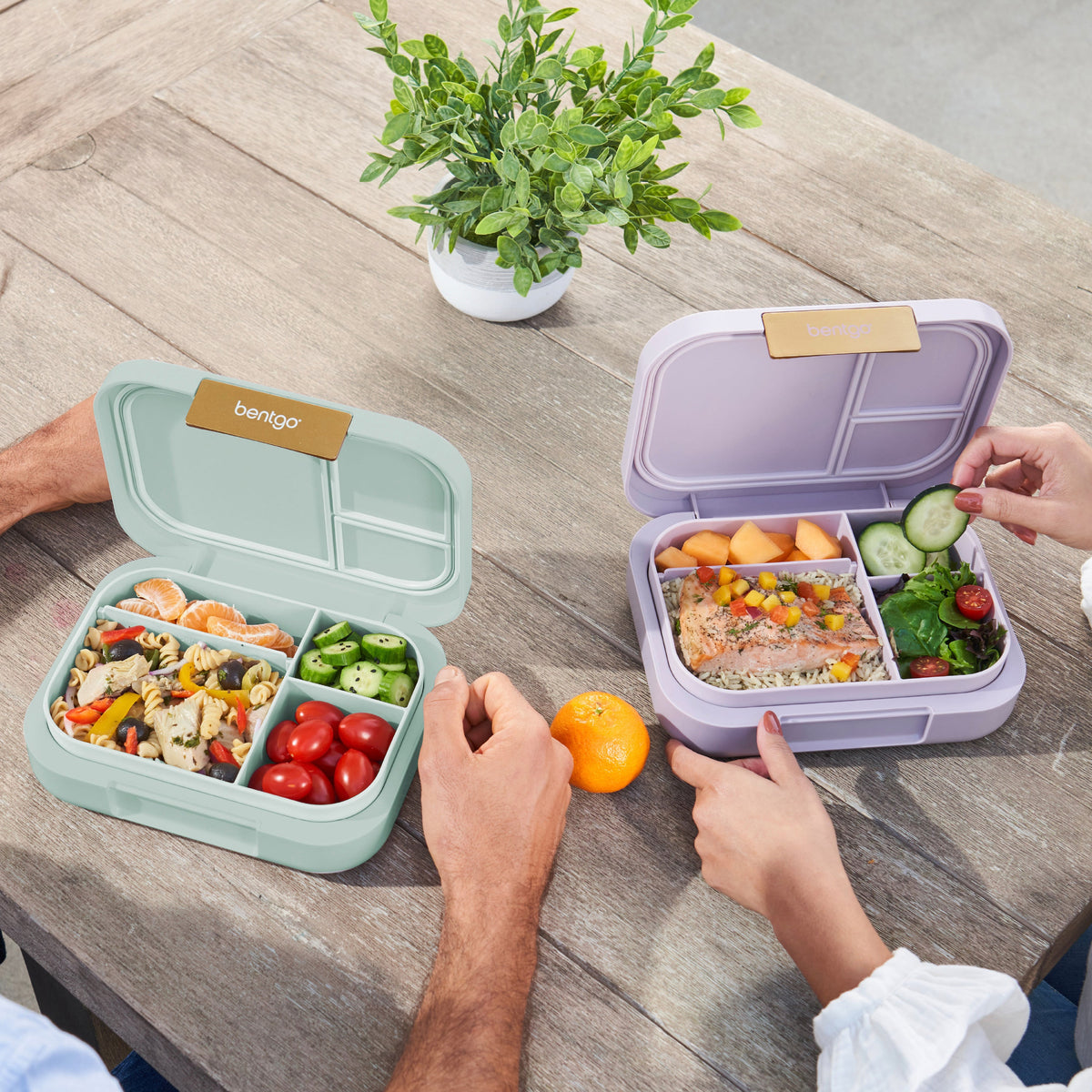 bentgo-modern-lunch-box-2-pack-l7 COSTCOBMCPRODUCTIMAGE_2.jpg